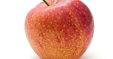 Bliv ekspert i æbletræers vækst